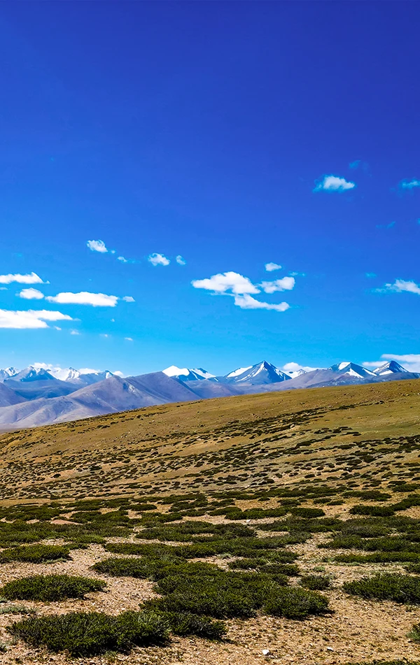 Dzo Jongo East Peak with Markha Valley Trek